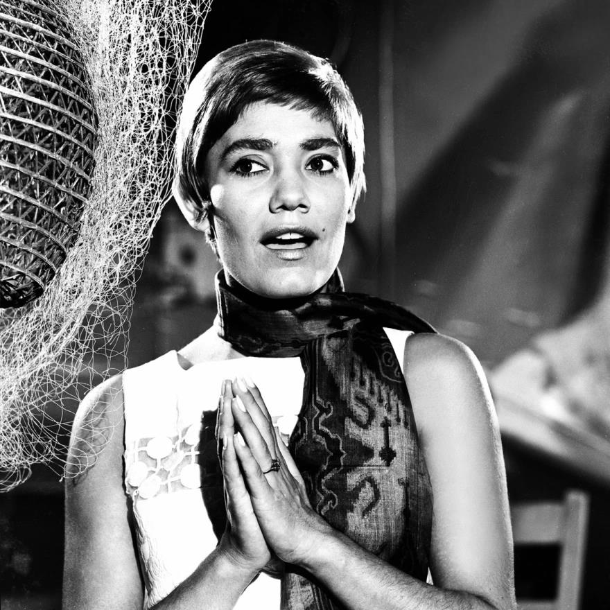 5440084306687363 image