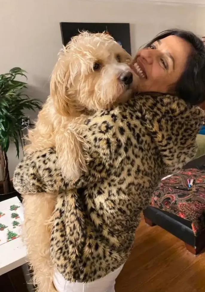 5440285108739827 image