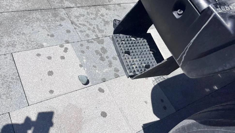 5441103398246938 image