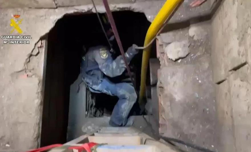 5442192533787248 image