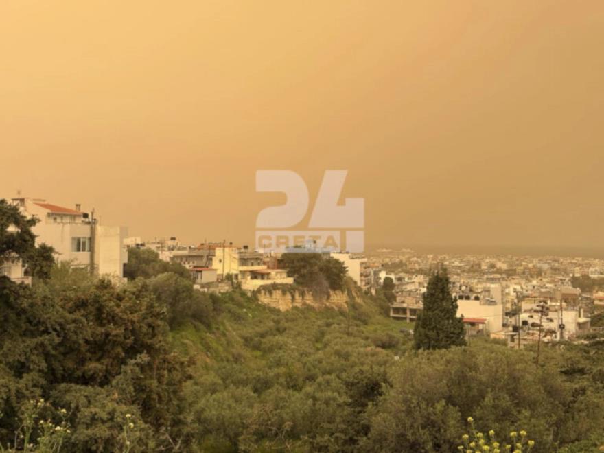 5442922002849948 image