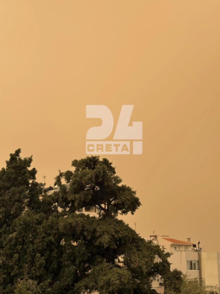 5442922070180219 image