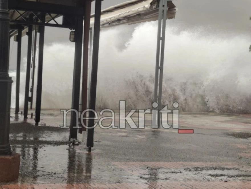 5442923804956724 image