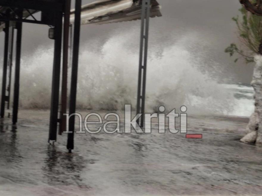 5442923861640677 image