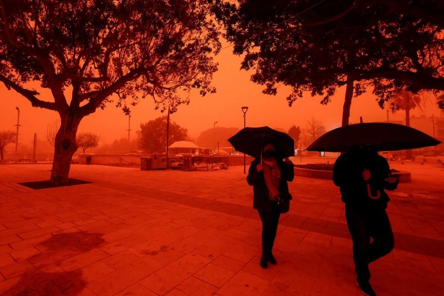 5443090319477410 image