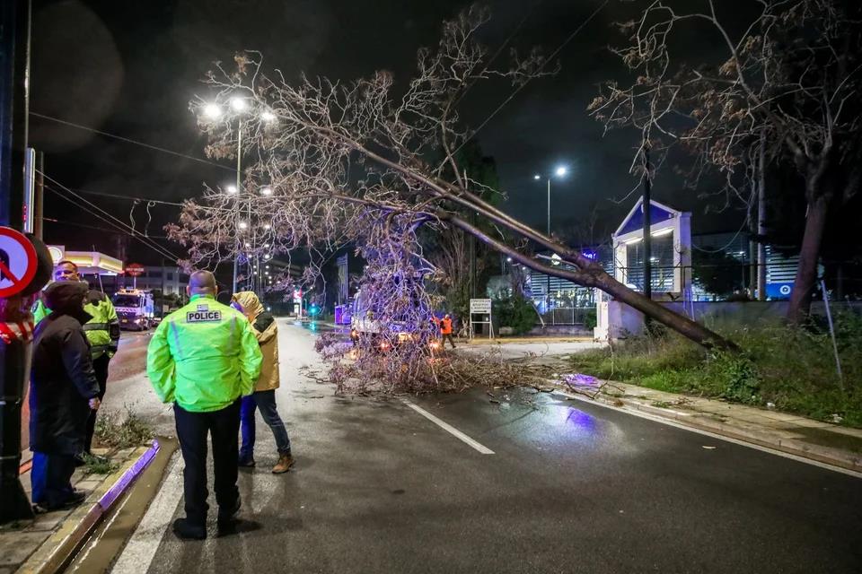 5443457569839781 image