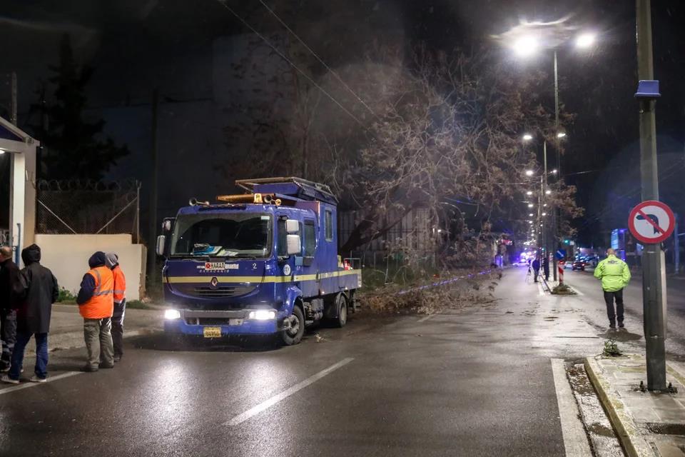 5443457688563306 image