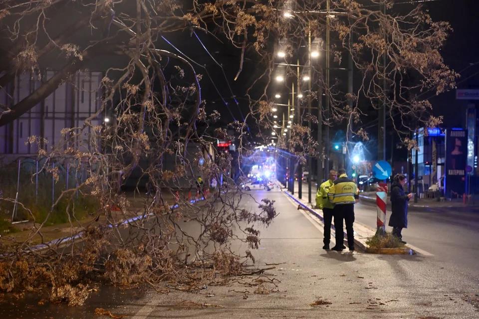 5443457732771730 image