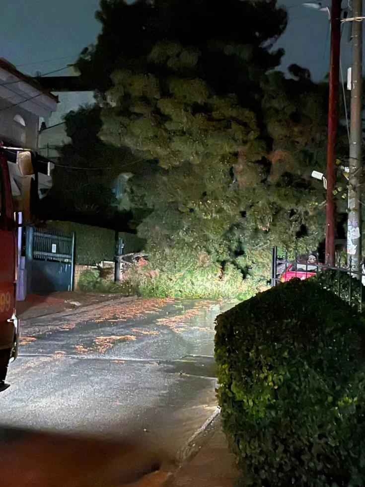 5443457878771025 image