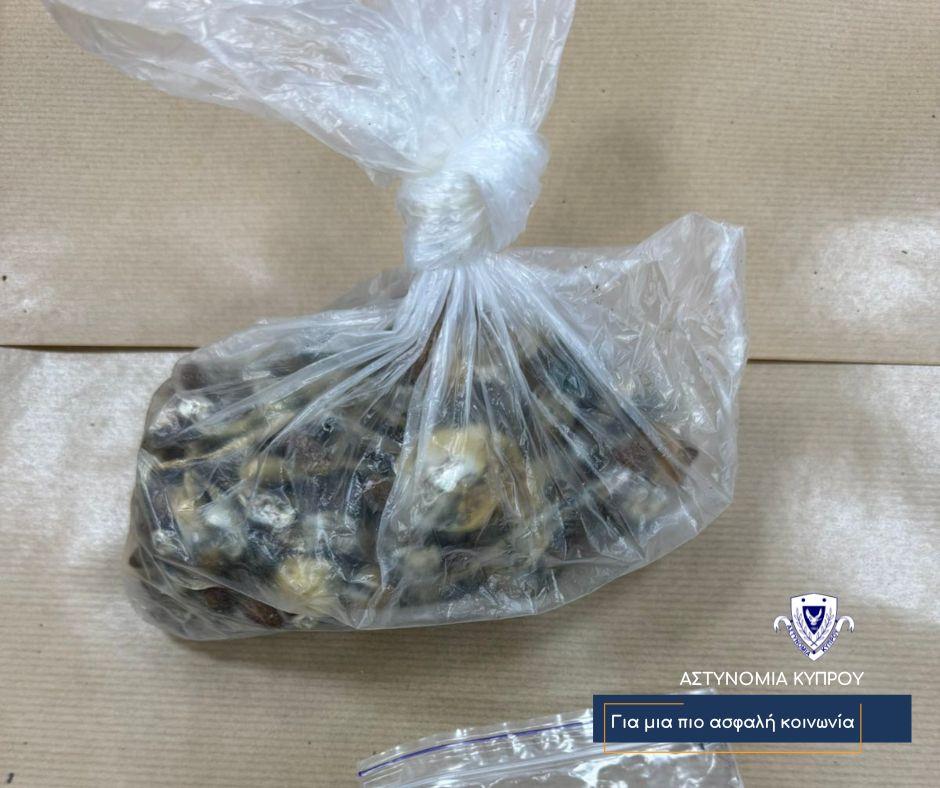 5443527801468667 image