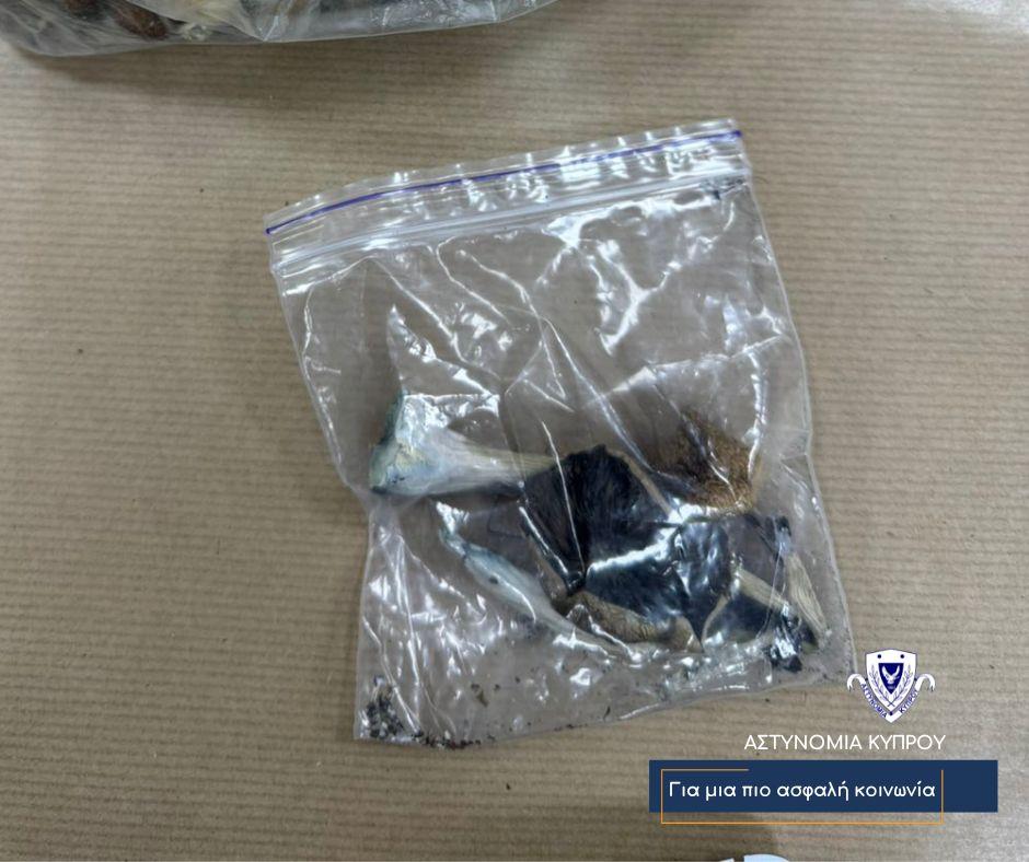 5443527839350146 image