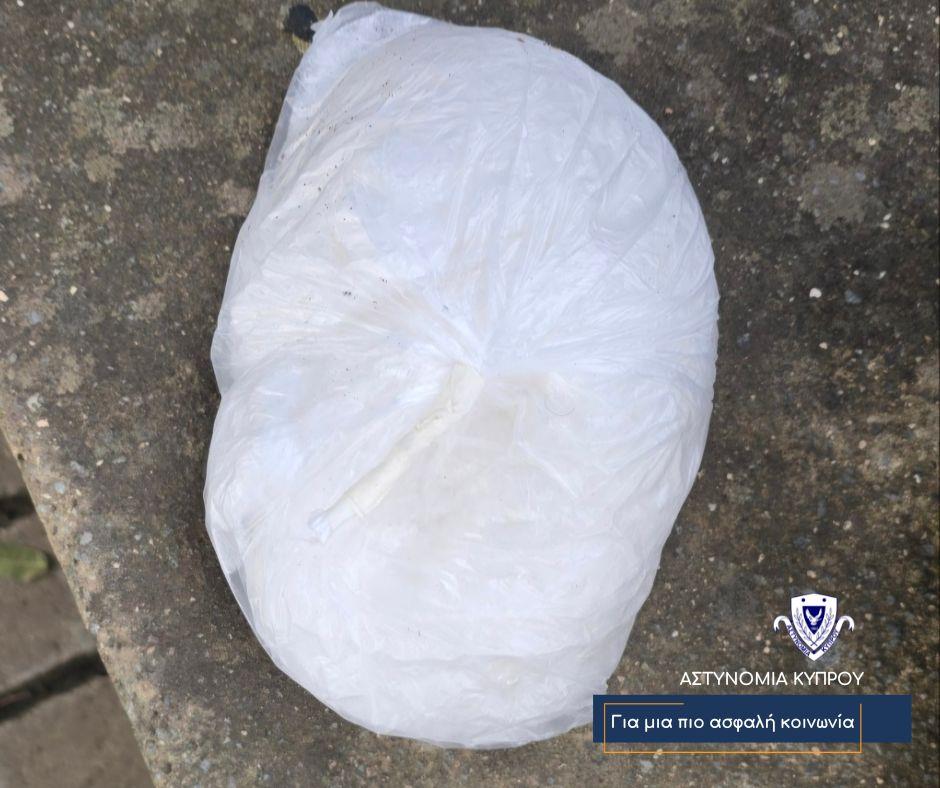 5445275048037900 image