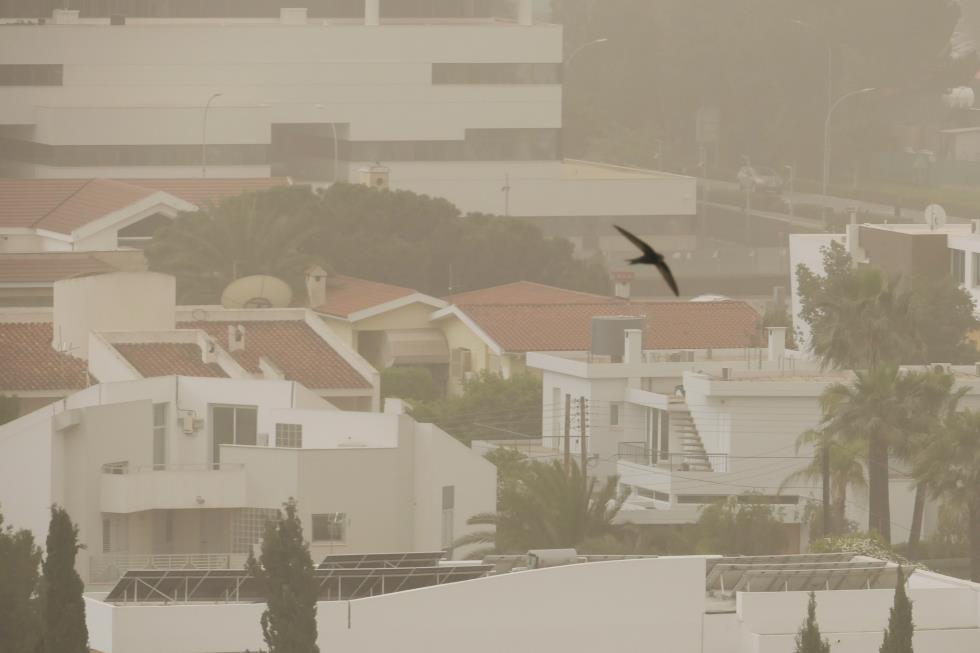 5445363838877780 DOC.20260403.10087363.01AFR06