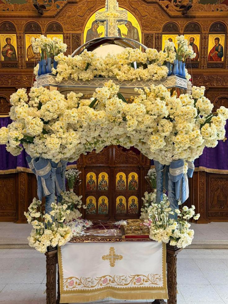 5450575178008104 664317393 3307829922725153 7071700873248799797 n