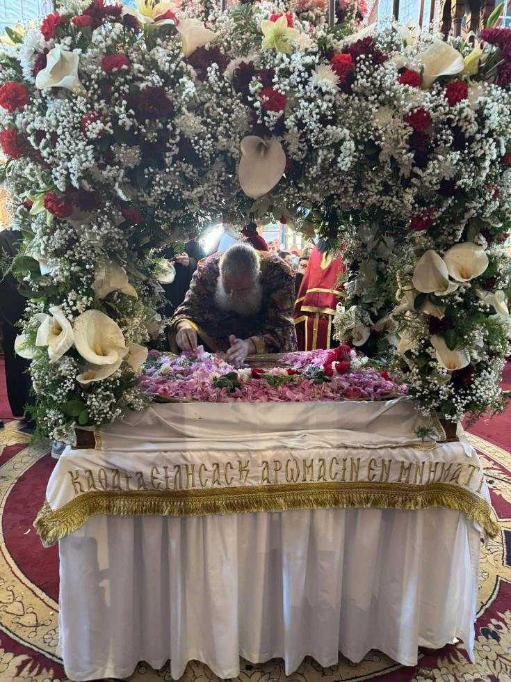 5450575230507524 665189456 1244150681215009 5104685687019219712 n