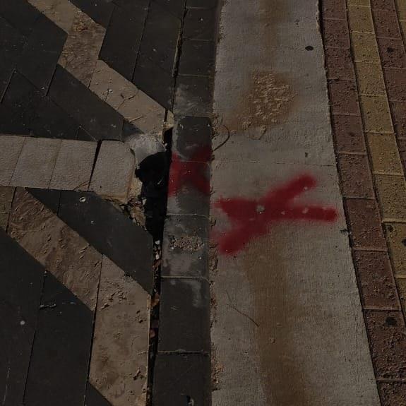 5450707207781125 image