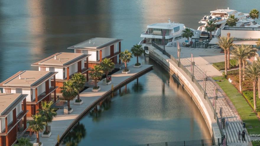 5452122892128313 image