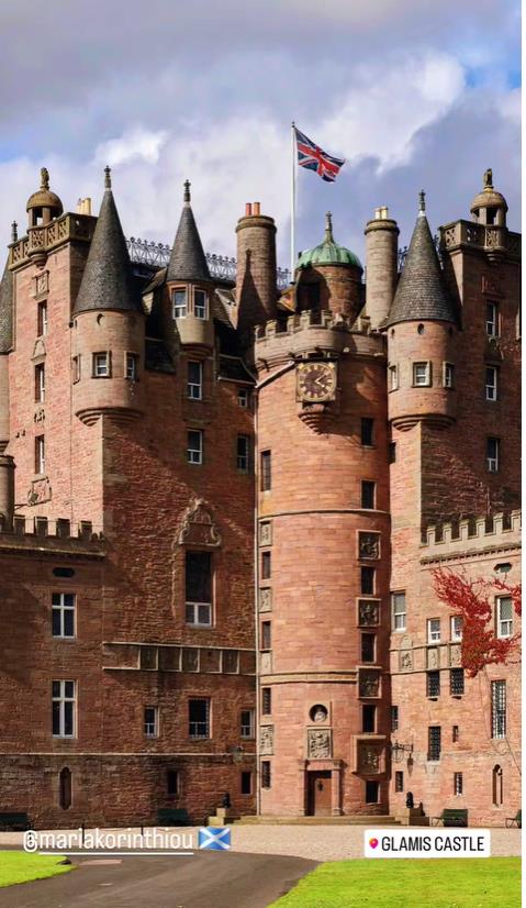 5454765508768614 image