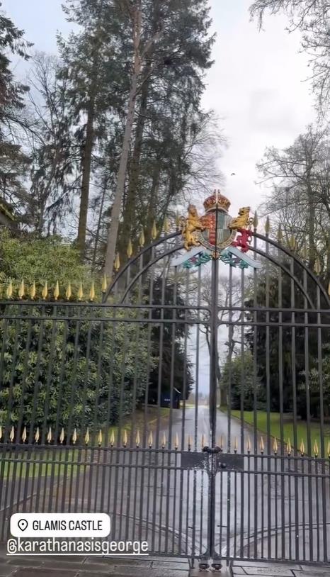 5454765865074233 image