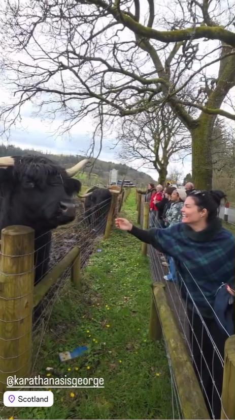 5454766236963024 image