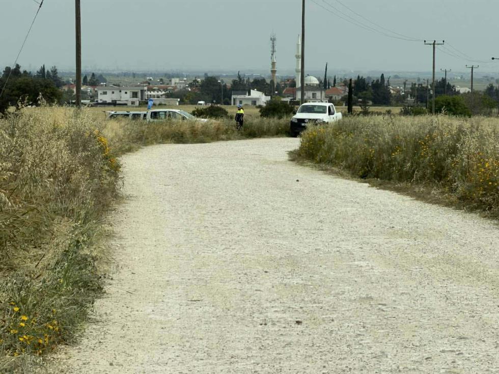 5454874246640789 image