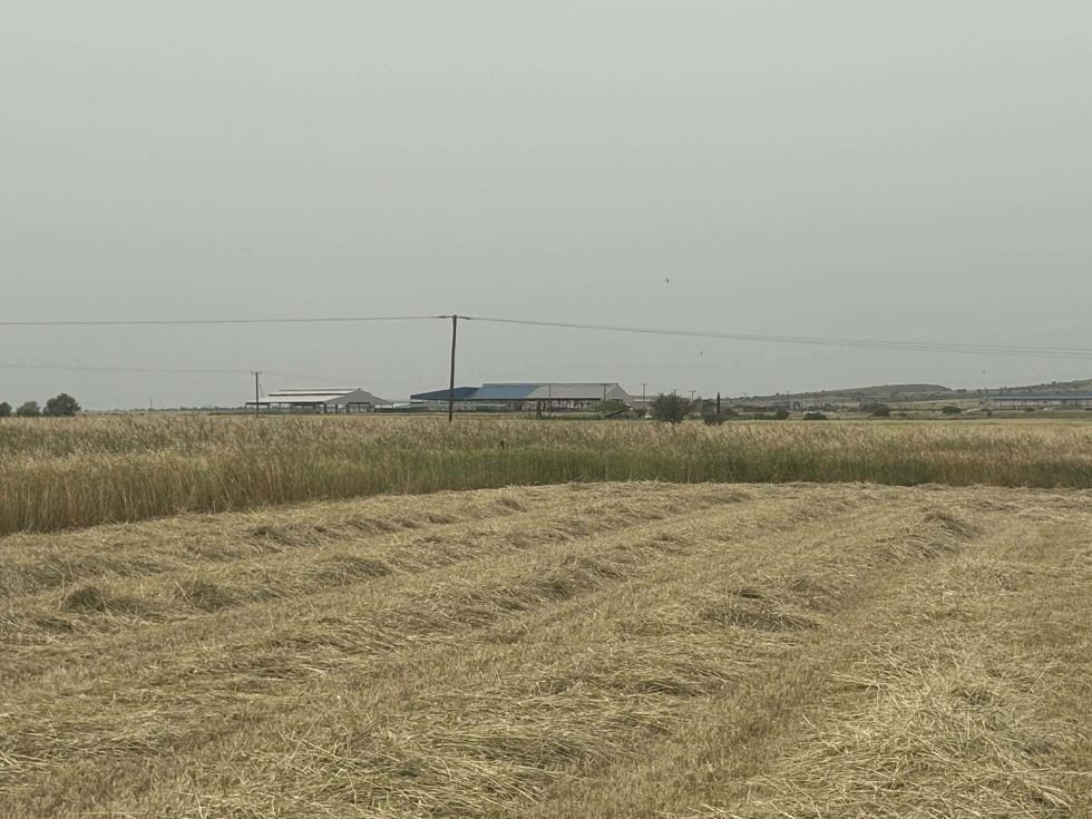 5454874333343512 image