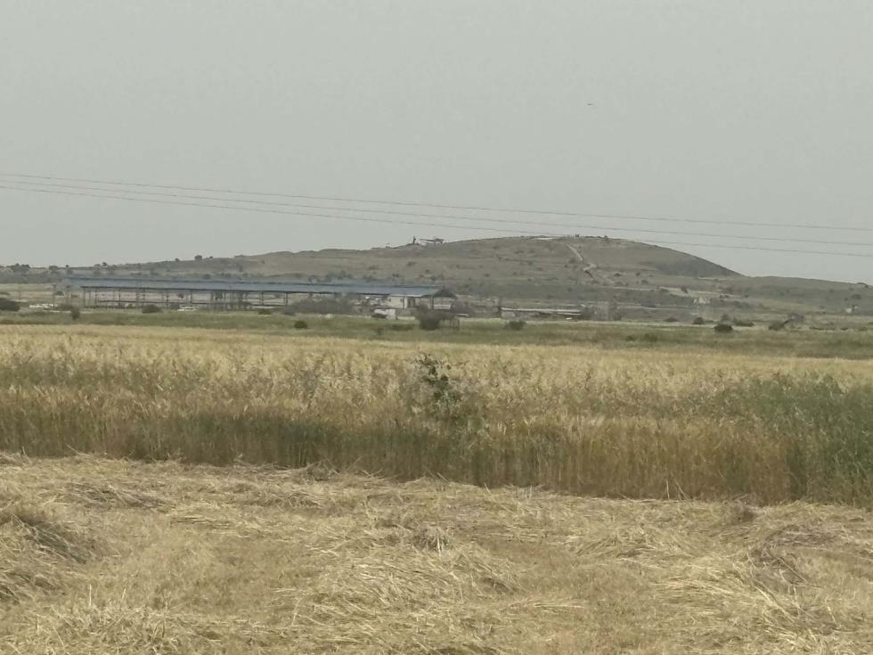 5454874385552872 image