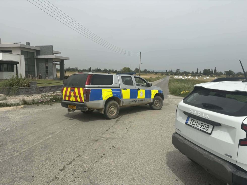 5454882354343988 image