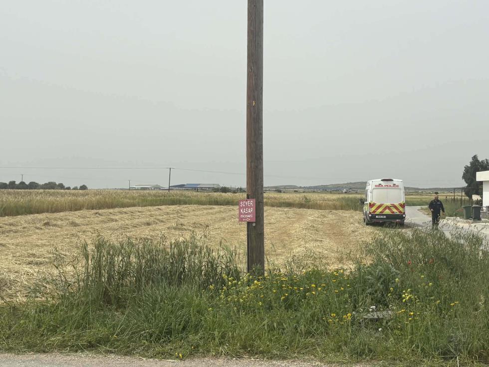 5454882475436368 image