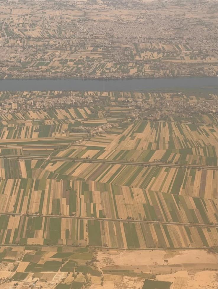 5455659976319232 image