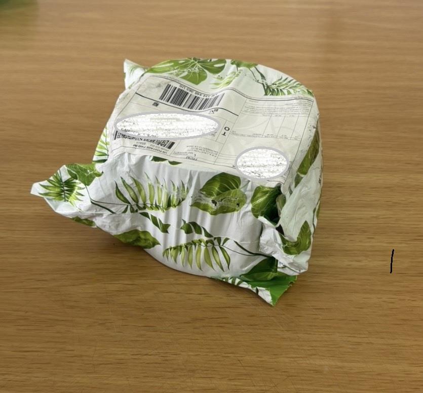 5456487152699109 image