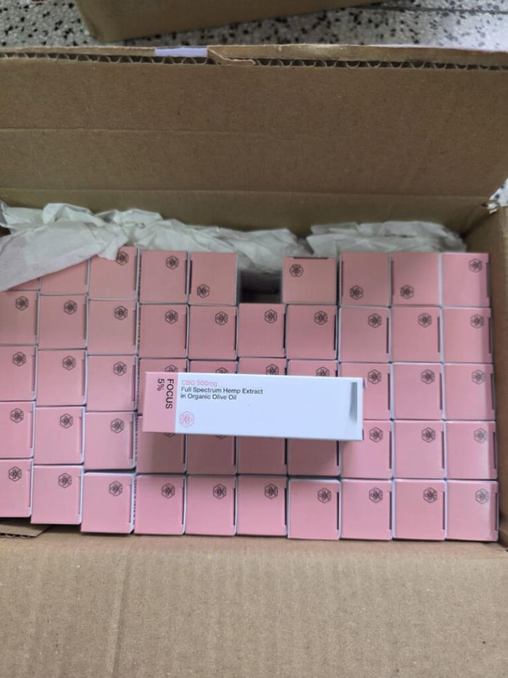 5456493089046172 image