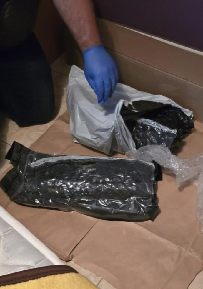 5456813877498116 image