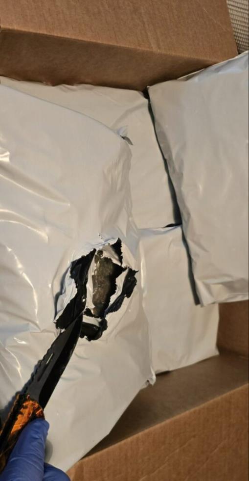 5456813994318279 image