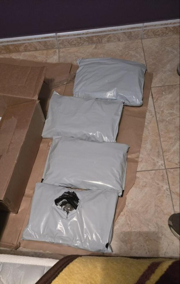 5456814179331665 image