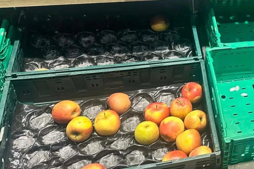 5458214609715443 image