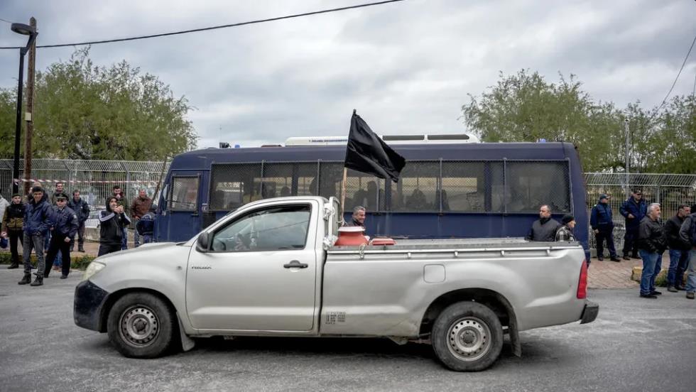 5459120649033378 image