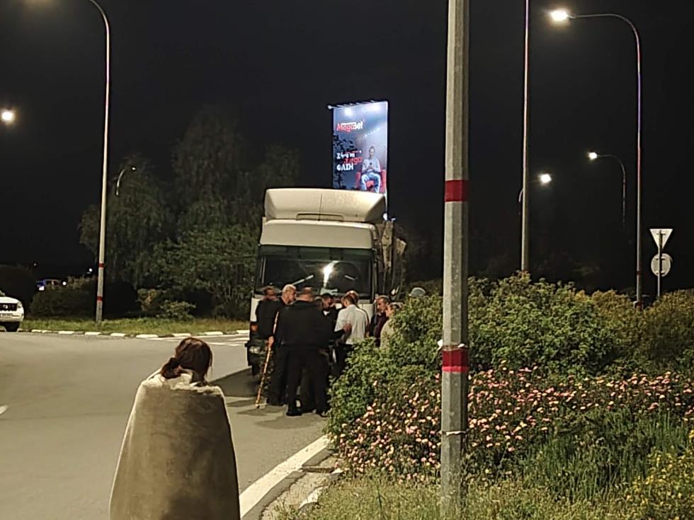 5462135340882395 image