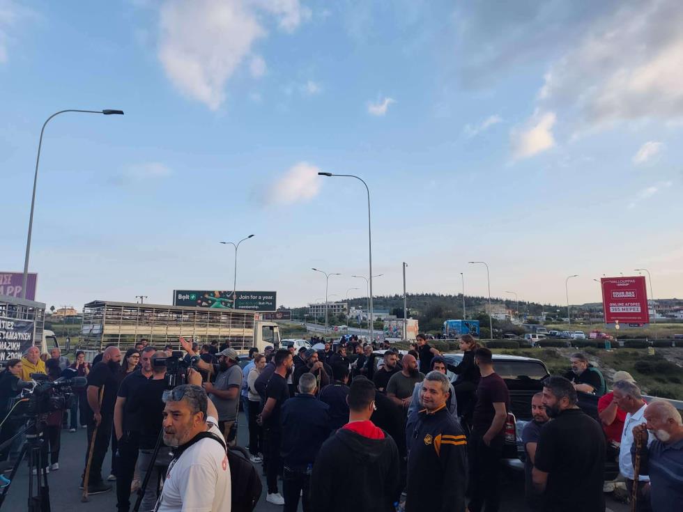 5462135993679944 image