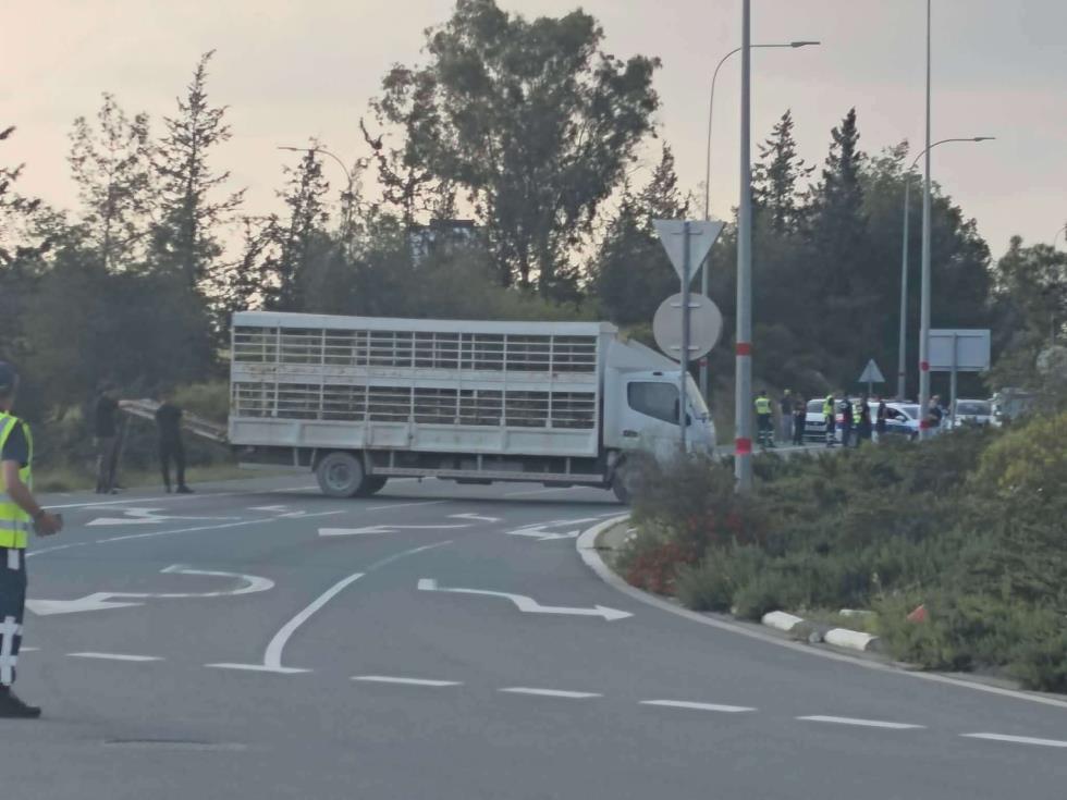 5462136300083402 image