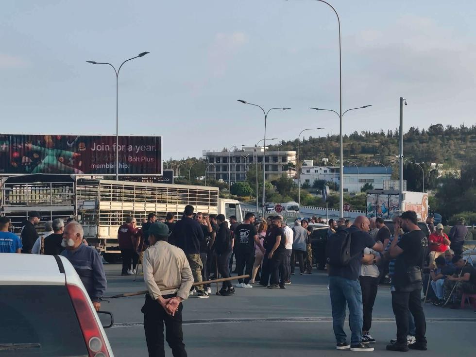 5462136523389656 image