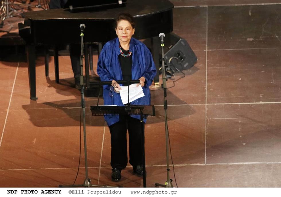 5462489299524587 image