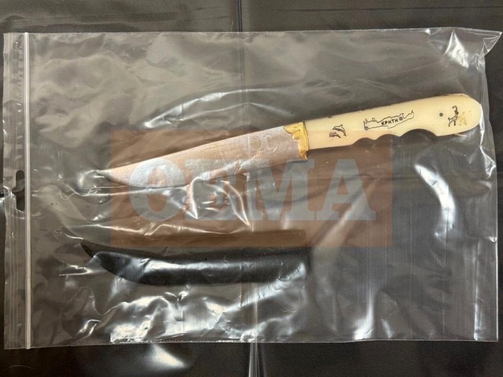 5463625362420444 image