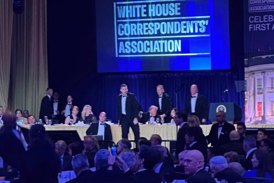 5465348139736809 image