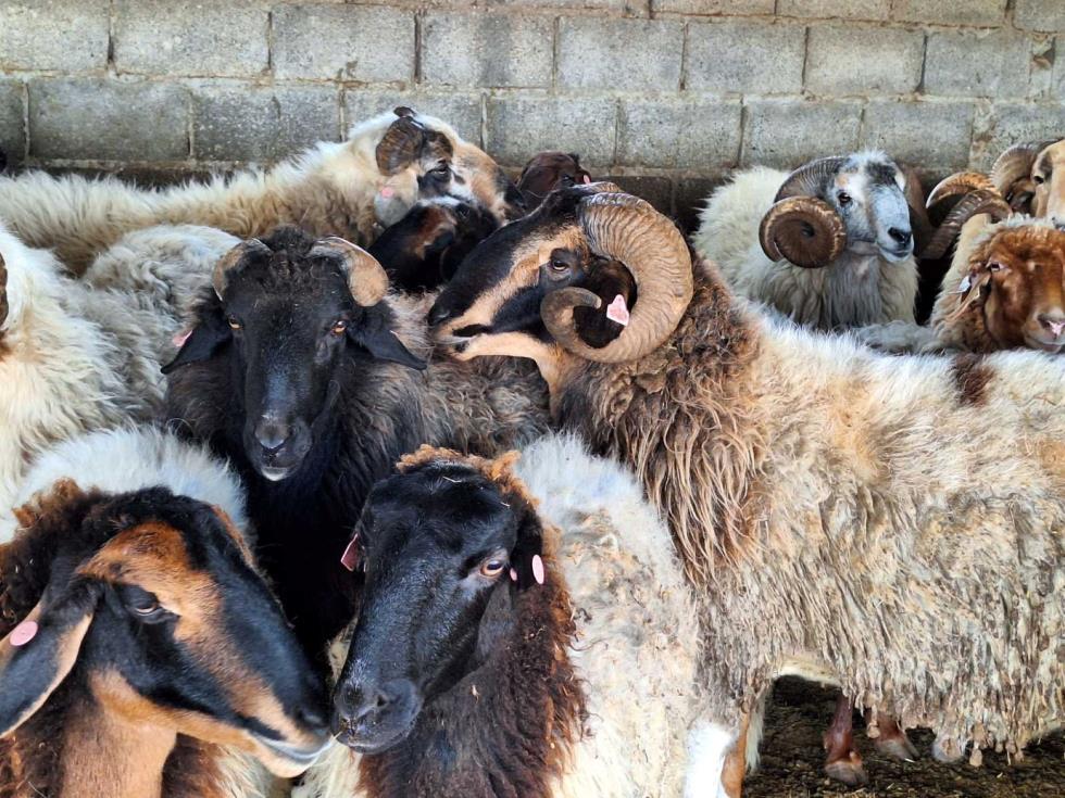 5466106284057982 DOC.20260428.10203352.provata