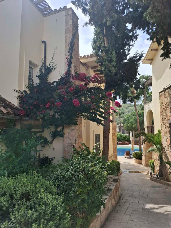 5466217520629599 image