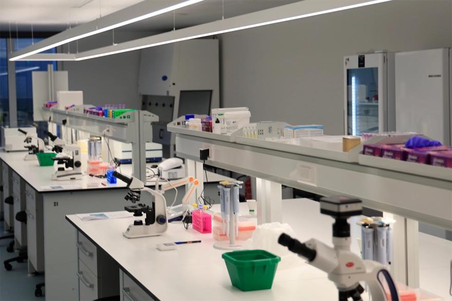 5467900364789387 image