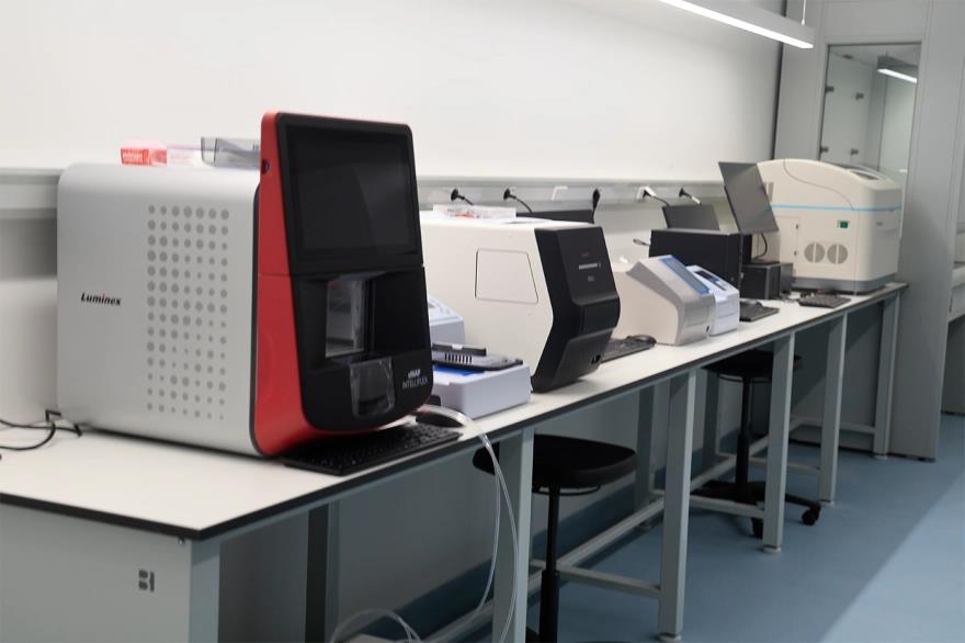 5467900470882275 image