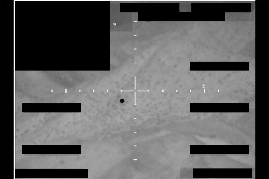 5474936575286393 image