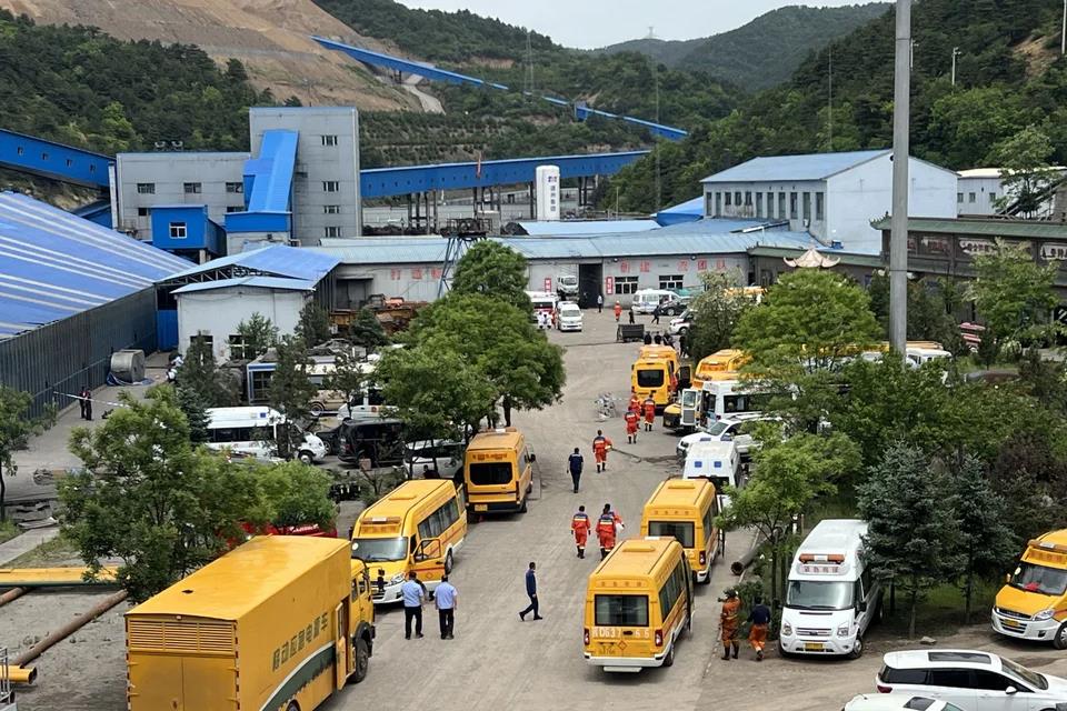 5487852774912980 image